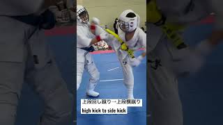 弟【上段回し蹴り→上段横蹴りコンビネーション】[Roundhouse Kick → Side Kick Combination]