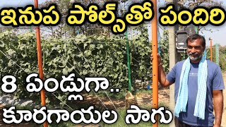 Iron Pandals కింద కూరగాయల సాగు | రైతు బడి