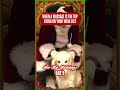 Cute Pup Loves Getting Scratches From Santa! #Dogs #Santa #Shorts