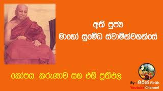 Bana - කෝපය, කරුණාව සහ එහි ප්‍රතිඵල - Bana - Dharmadeshana - Most Ven. Maho Sumedha Thero