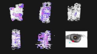 Eye Tracking Architecture in Processing