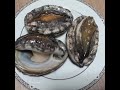 視線強奪 abalone sea food ear shell 鮑 石决明 鲍鱼 九孔螺 seehr der umsturz アワビ oreja marina de ma 완도 전복