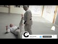 aikido leg locks