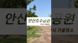 #안산가볼만한곳 걷기 좋은 #안산호수공원