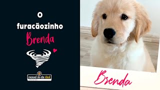 O furacãozinho Brenda