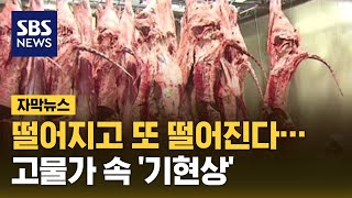 떨어지고 또 떨어진다…고물가 속 '기현상' (자막뉴스) / SBS