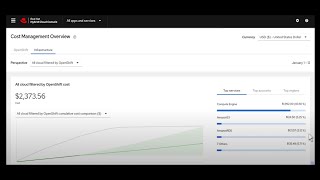Hybrid Cloud Console Cost Optimization