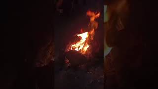 ਲੋਹੜੀ ਮੁਬਾਰਕ 🔥❤️#lohri#lohricelebration#punjab #pindawale #shortvideo#shorts #punjabishorts#festival