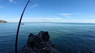 Fishing for moki, at sumner rock