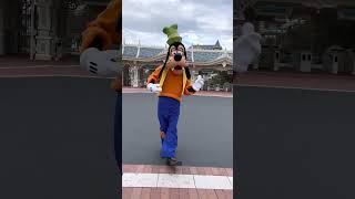 グリーティング・エントランスのグーフィー😊Tokyo Disney land #shorts