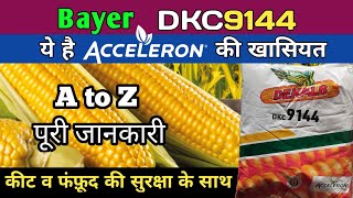 dkc9144 acceleron makka | 9144+ makka | bayer 9144plus makka | 9144 acceleron makka