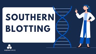 Southern Blotting​