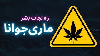 حقیقت‌های ناگفته در مورد ماری‌جوانا