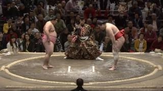 2016大相撲名古屋場所　十一日目　宇良　対　青狼