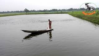 In a large pond sprinkled with fish food/ গ্রামের বিশাল বড় পুকুর €€€€€€€ Village Culture bd