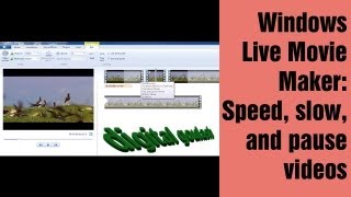 Windows Movie Maker made easy - Speed up, slow down and pause videos