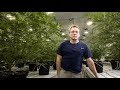 Bruce Linton 'not bitter' about abrupt ouster at Canopy Growth