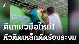 ตีนแมวพลาดท่าหัวติดฝ้าเพดานร้องให้ช่วย | 30-01-65 | ไทยรัฐนิวส์โชว์