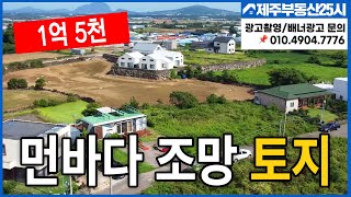 [매물번호0268] 제주도 먼바다조망 전원주택 단지 내 토지