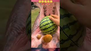 জলহস্তী কিভাবে আস্ত তরমুজটি খেয়ে নিল |Hippos Eating Watermelon  #shorts