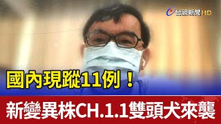 國內現蹤11例！新變異株CH.1.1雙頭犬來襲