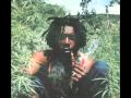 Peter Tosh-Nah Goa Jail