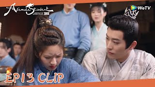 EP13 Clip | Qi felt sad for Yunzhi since he had been scalded! | 国子监来了个女弟子| ENG SUB