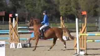 C.S.O. As Poney 2 - Elise et Kollin.