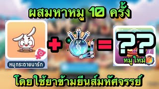 Happy hog แฮปปี้คนเลี้ยงหมู : ผสมหมูโดยใช้ยาข้ามยีนส์มหัศจรรย์ 10 ครั้ง หมูใหม่ออกแน่