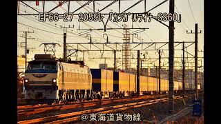 ｴﾛ光 ｻｲﾄﾞｷﾞﾗﾘ! EF66-27 2059ﾚ ｢ｶﾝｶﾞﾙｰﾗｲﾅｰSS60｣ 東海道貨物線 横浜羽沢～相模貨物。