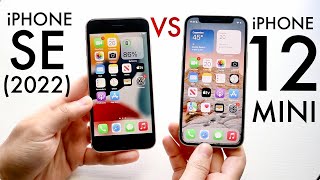 iPhone SE (2022) Vs iPhone 12 Mini! (Comparison) (Review)