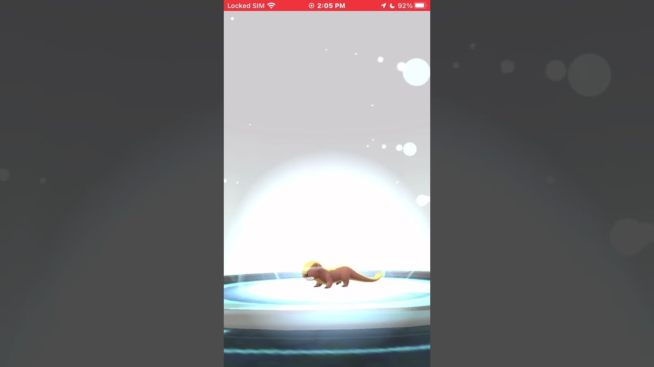 WINTER How to catch Gumshoos in Pokémon GO -December-