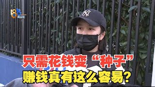 【1818黄金眼】“美联汇三板斧”的投资方式，花钱变“种子”？