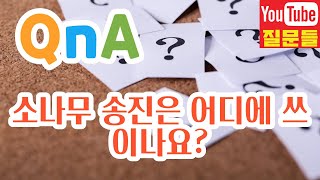 소나무 송진은 어디에 쓰이나요?