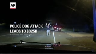 Police dog attack leads to $325K settlement