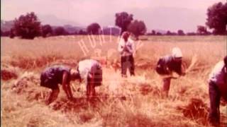 Katerini in Greece, late 1960's.  Archive film 94115