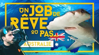 Plongée en Australie, LA vérité sur les Jobs de rêves !