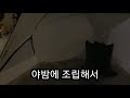 여름 캠핑 필수품 네이처하이크 쉘터 프리뷰