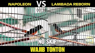 Wajib Tonton No Skip Lambada Reborn VS Napoleon