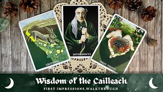 Beautiful \u0026 Magical! | Wisdom of the Cailleach | First impressions walkthrough