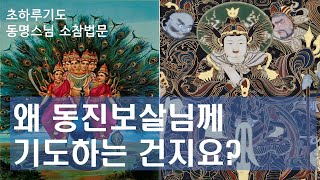 왜 동진보살(위태천, 스칸다)님께 기도하는지요? [동명스님 소참법문] #동진보살 #위태천 #신중탱화