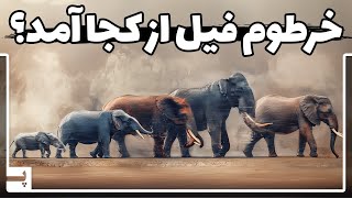 فیل ها از اول خرطوم نداشتند، خرطوم از کجا آمد؟