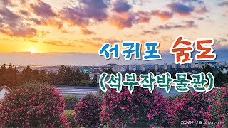 서귀포 숨도(석부작박물관)는  현무암과 어우러진 제주 특유의 식물의 강인한 생명력과 자연의 신비를 느끼게 합니다./Seogwipo Sumdo(2024. 12. 10)