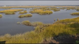 An Inside Look: Coastal Resilience