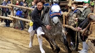 平地神明社馬駆祭