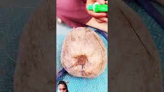 #coconut #fruiting #nature #gardeing 🥥🥥🥥🥥🥥🌴🌴🌴 #satisfying #cooking