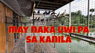 May naka uwi pang isa nating warior| Nakapag linis din sa wakas