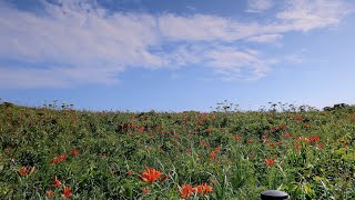 《4K》小清水原生花園 タイムラプス 北海道 道東 オホーツク 4k映像　EOSR5 EOSR6