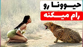 عجیب ترین رفتار حیوانات در برخورد با انسان ها