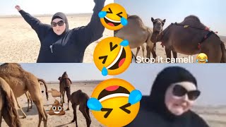 FUNNY Foodie Beauty, Salah,  Kuwait desert, camels! 🐪🌵😍